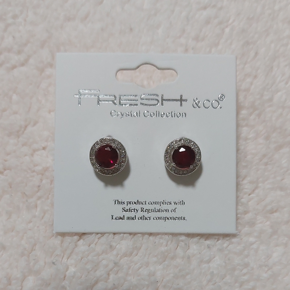 Silver and Red Crystal Earrings